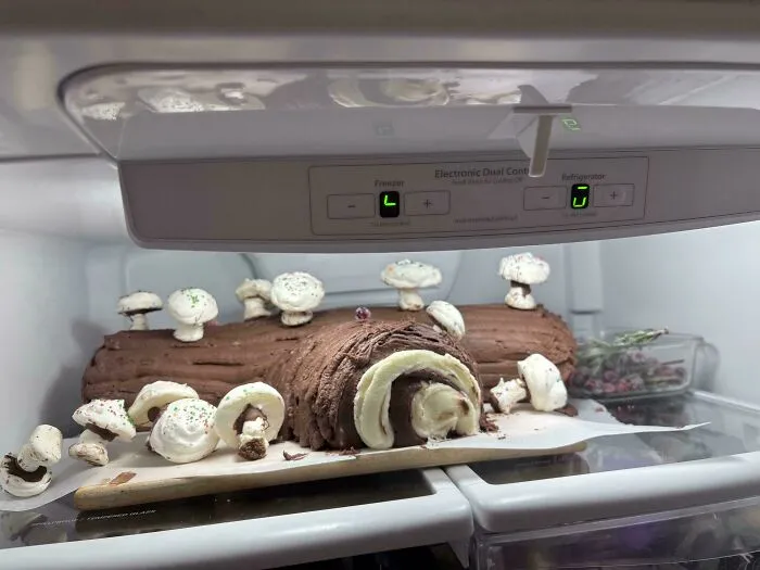 La fiesta de la oficina ha sido cancelada por baja asistencia. Preparé un tronco de Navidad y un pastel de tiramisú para 40 personas.