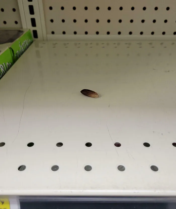 Trabajo en una pequeña tienda de alimentos naturales. Tenemos un cliente habitual que roba dátiles y luego deja huesos por todos lados.