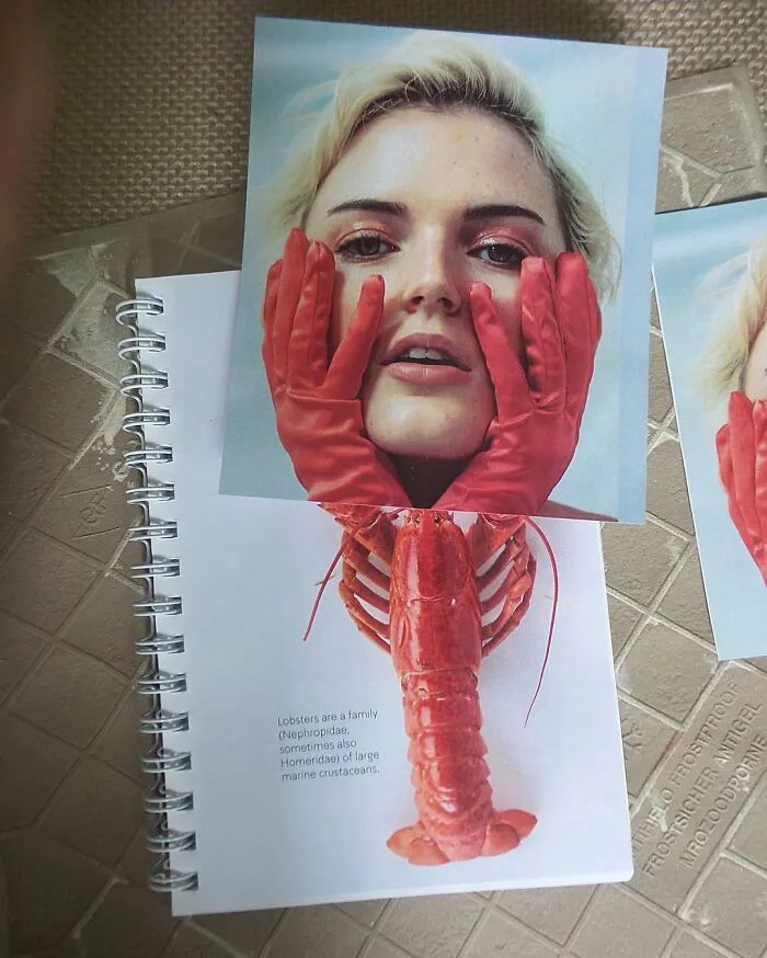 A Second Look: 30 Optical Illusions That Will Challenge Your Perception