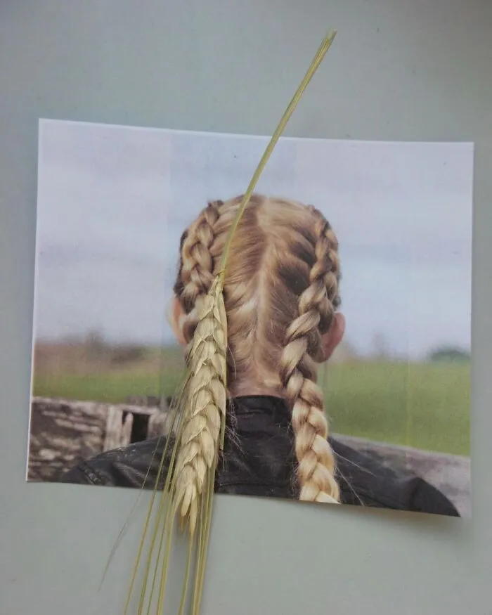 A Second Look: 30 Optical Illusions That Will Challenge Your Perception