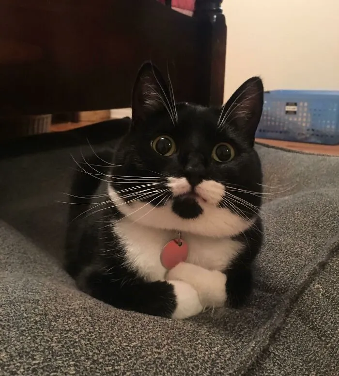 Put Your Feetsies Together For Miss Mabel