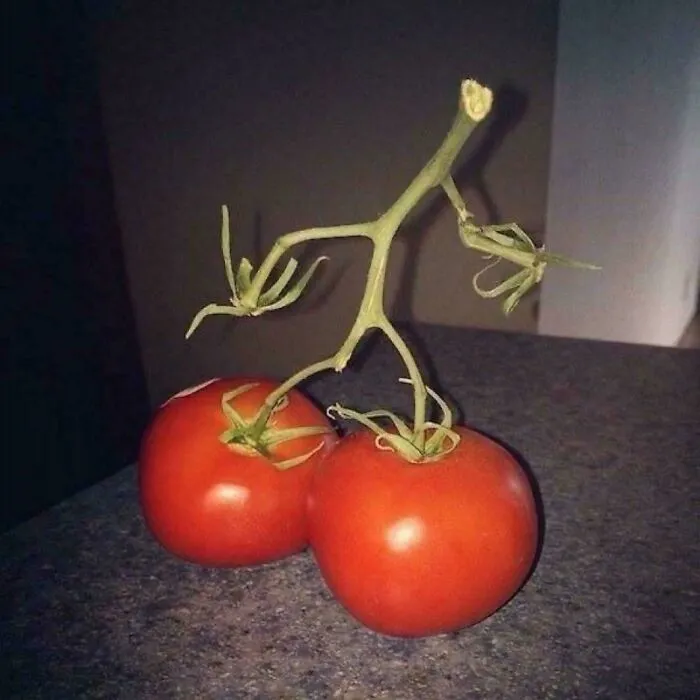 Tomato Shoes