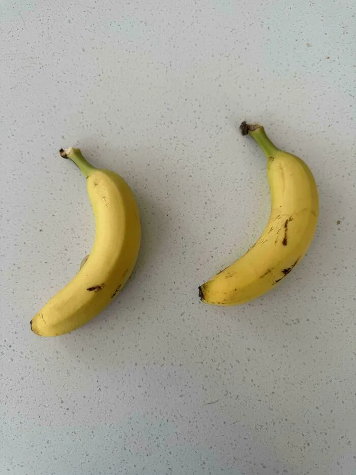 A Banana (Banana For Scale)