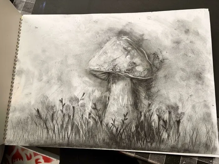 I Drew A Mushroom With Charcoal