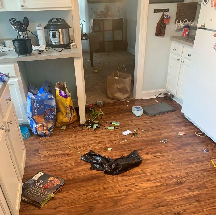 Dejé que mi cuñado se quedara con nosotros mientras se rehabilitaba y volví a casa y vi todos los cristales de mi casa rotos.