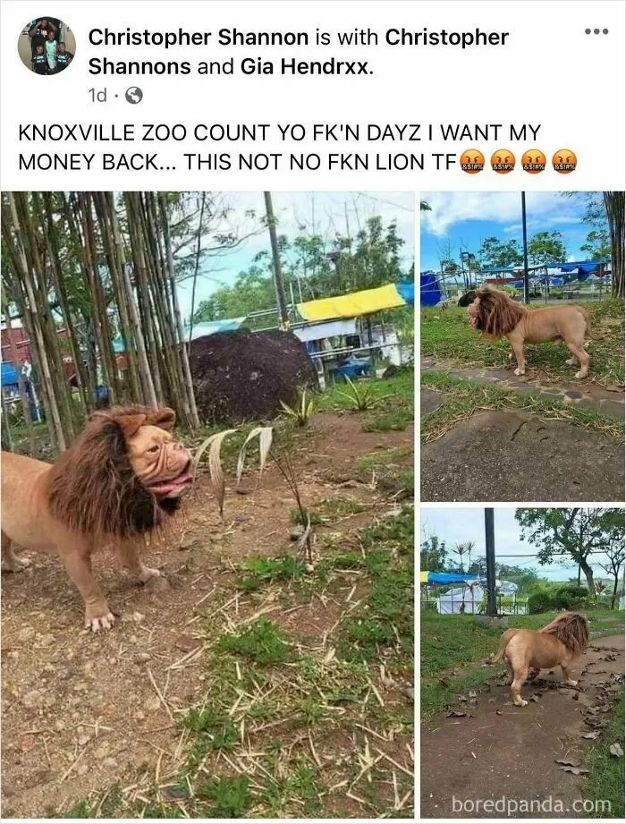 King Of The Jungle