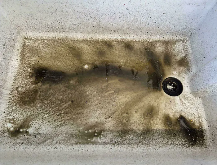 My Colleague Had To Clean Something And Then Proceeded To Pour The Dirty Water Down The Sink Without Cleaning It
