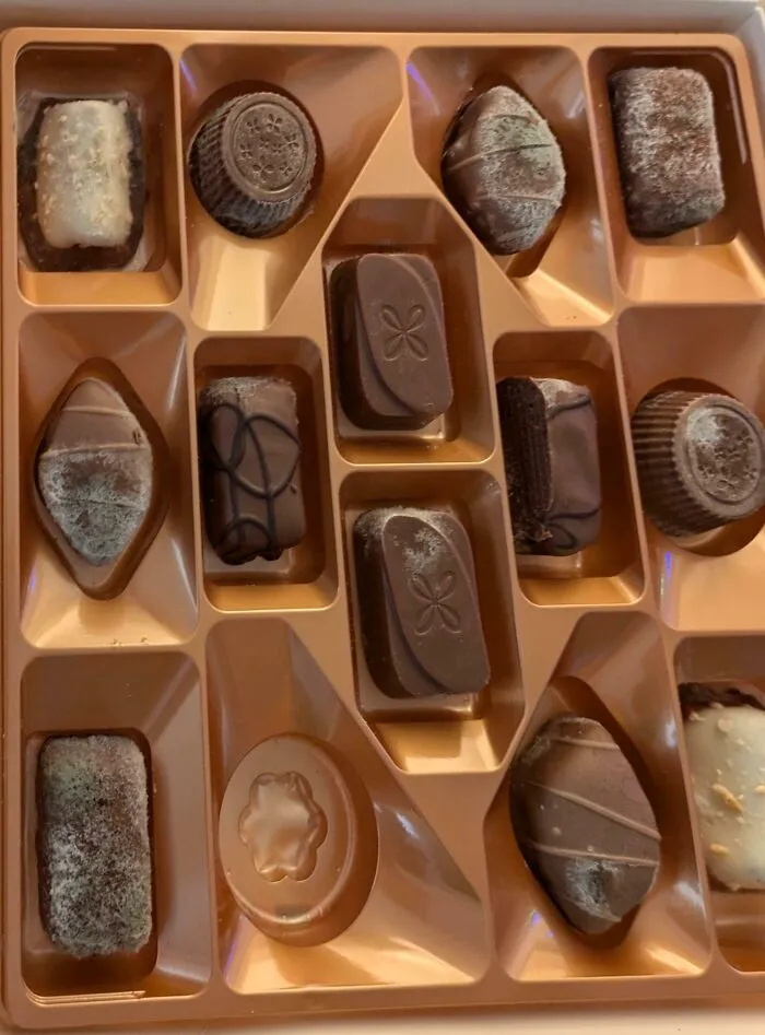 Coworker Bought Me A Box Of Chocolates For Christmas - One Missing And The Rest Were Mouldy