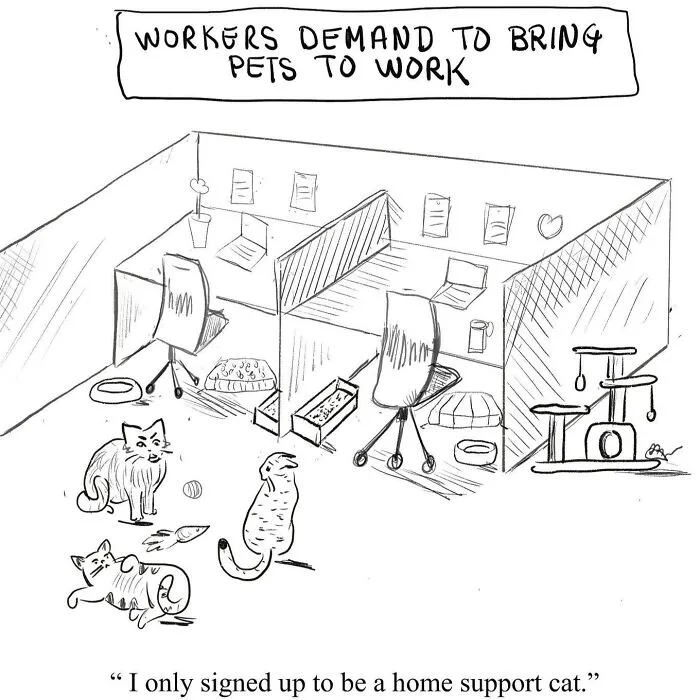 30 Lighthearted One-Panel Comics By Beverley Kort To Brighten Your Day