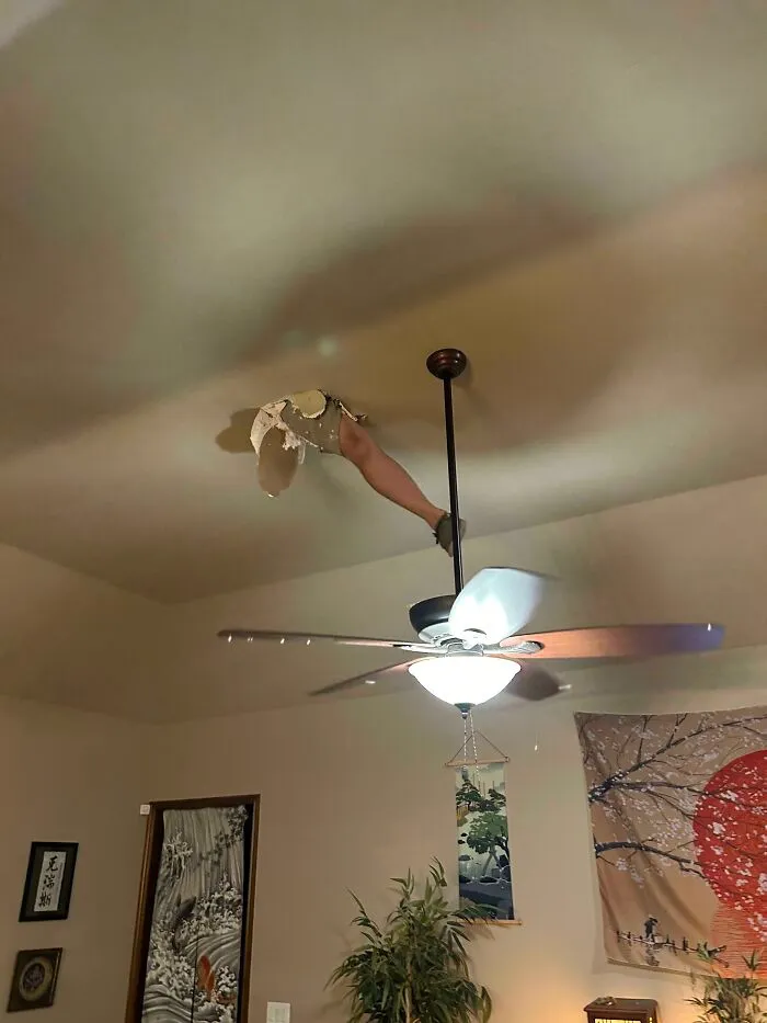 Home Renovation Not Going As Planned