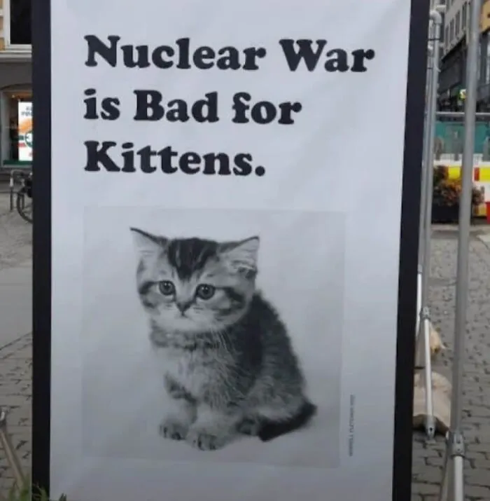 35 Weird And Wonderful Cat Memes That Will Probably Crack You Up