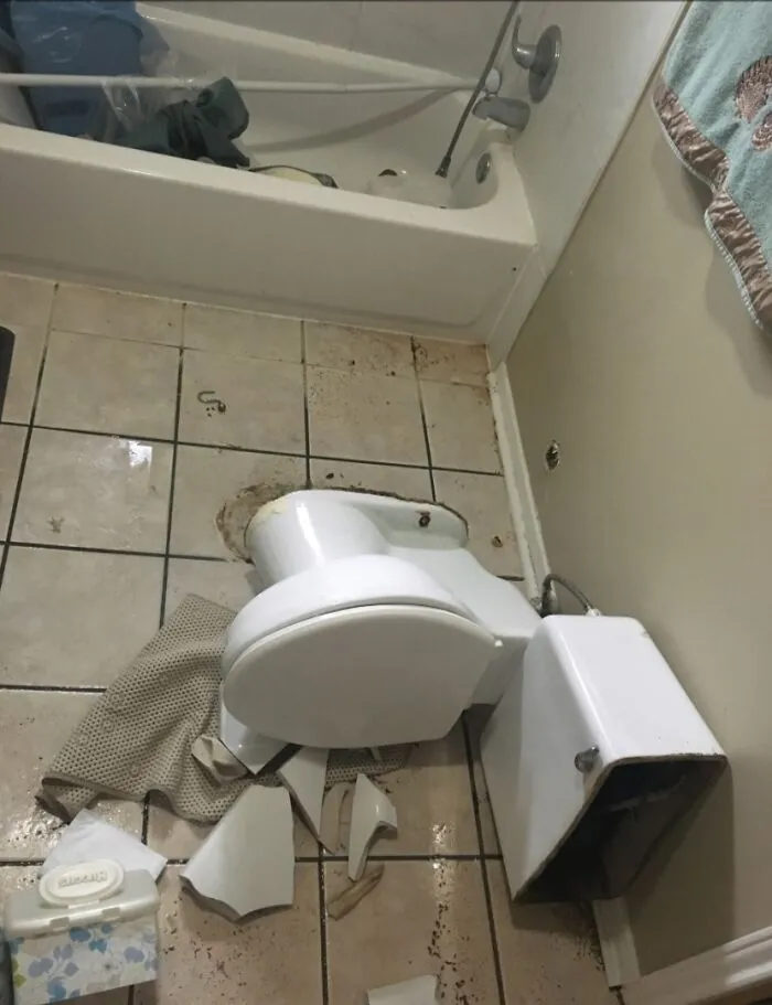Slipped In The Shower, Landed On The Toilet