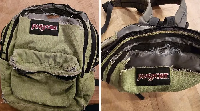 Rip After Almost 20 Years Of Daily Use