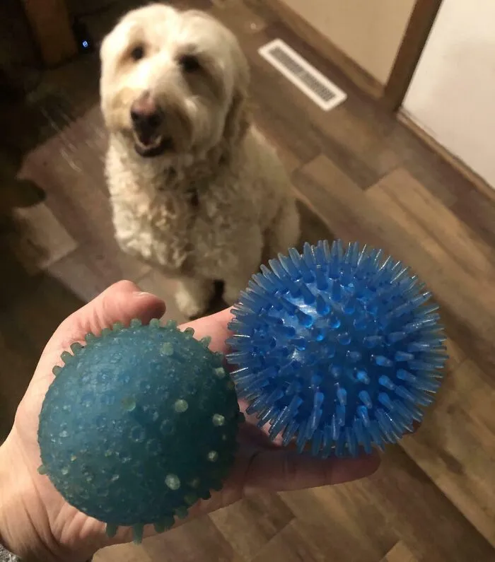 La misma pelota, pero tras 3 años jugando con ella