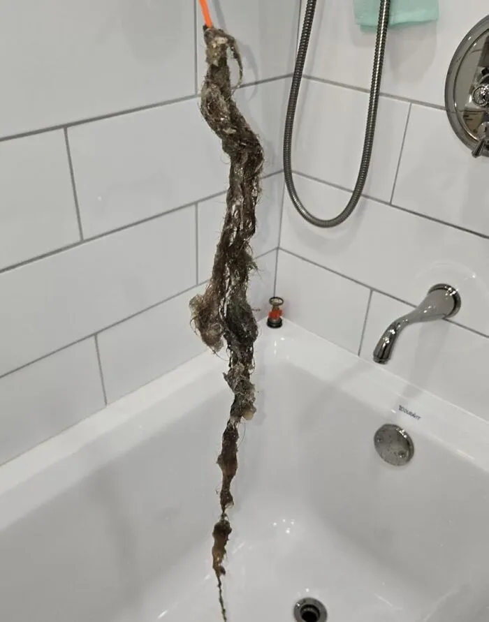 Keeping Your Drains Flowing Freely Is A Life Skill That's Often Overlooked Until It's Too Late. But With A Trusty <a Style="Display:inline;" Href="Https://Www.amazon.com/Flexisnake-Drain-Weasel-Sink-Snake/Dp/B01nb0729g?ie=utf8&th=1&linkcode=ll1&tag=bpgorilla-20&linkid=1b0c1fa6c8226f765ba2894fccb5fba1&language=en_us&ref_=as_li_ss_tl" Target="_blank"><span Style="Font: Inherit; Color: #d74b1f;"> Drain Snake </Span> By Your Side, You Can Tackle Clogs And Blockages Like A Pro, Saving Yourself From The Mess And Expense Of A Backed-Up Sink Or Toilet
