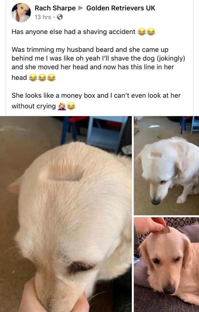 Poor Money Box