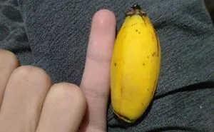 “I Finished A Pen”: 50 Things That Are Not Interesting, Like, At All (New Pics)