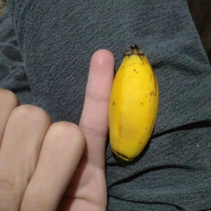 I Found A Smol Pinky-Sized Banana