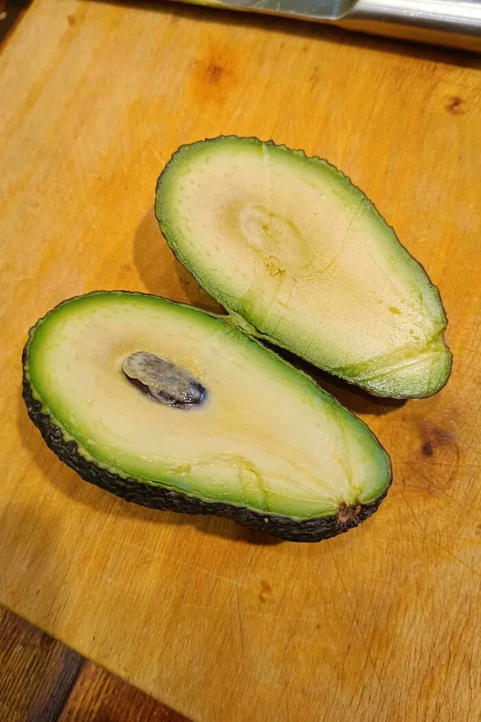 I Won An Avocado Lottery