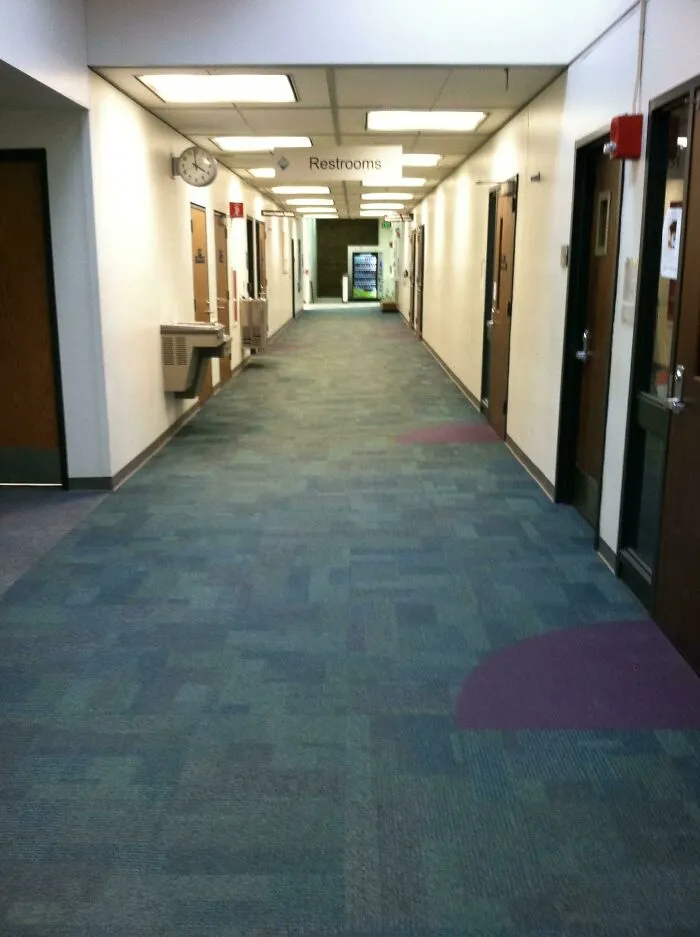 My School Uses Purple Carpet To Indicate The Classroom Doors That Swing Out