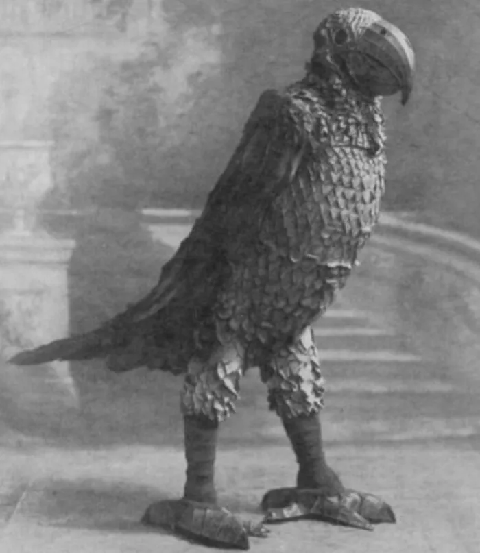 Disfraz de loro