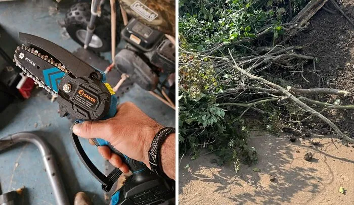 When Planning Your DIY Garden, Choose Trees And Shrubs With Non-Invasive Roots And Plant Them A Safe Distance From Your Foundation. Also, Keep A  <a Style="Display:inline;" Href="Https://Www.amazon.com/Saker-Chainsaw-Portable-Courtyard-Household/Dp/B0947xlwfw?crid=1cs0s4z448zi4&dib=eyj2ijoimsj9.cd84euo1nadr6yrvwul-Pjzy6pxwme-Wiywb-Zzf3tdwcrj0g025uwxe6s6-Zvr28-Nqbqs6bzw3tnwvb0rpwuh2rhnagxp_54vcux9p0qmnlppx8aktchqcryrggwpqjj2jflzfeztqwil582ofojo9yuzn1nzwfnihwhhbzm_tdg3javosr5meskeeacdy1-Vbd-4igp8fxxw7mubafusccxvwehhpr5xtpf_-9og.ehwrg7adovfivukiiym_smn0reeqswi6bz5pzargqjw&dib_tag=se&keywords=landscape+chainsaw&qid=1722330606&sprefix=landscape+chainsaw%2caps%2c201&sr=8-1-Spons&sp_csd=d2lkz2v0tmftzt1zcf9hdgy&psc=1&linkcode=ll1&tag=bpjaguar-20&linkid=6512feb3cabea53dcd6099e1bf58eaf3&language=en_us&ref_=as_li_ss_tl" Target="_blank"><span Style="Font:inherit;color:#d74b1f;"> Mini Chainsaw</Span>  On Hand For Shrubs That Refuse To Behave