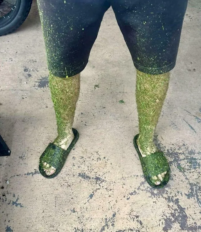 Mis piernas tras cortar el césped cuando aún estaba húmedo