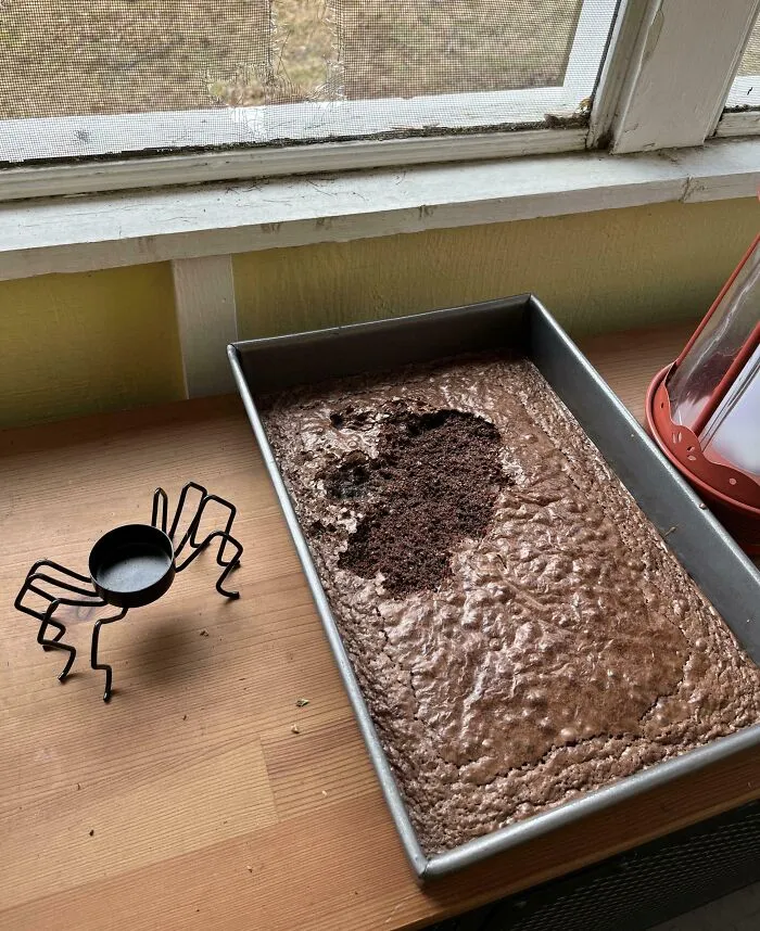 Brownie mordido al lado de una decoración de araña sobre la mesa, ilustrando errores compartidos en internet.