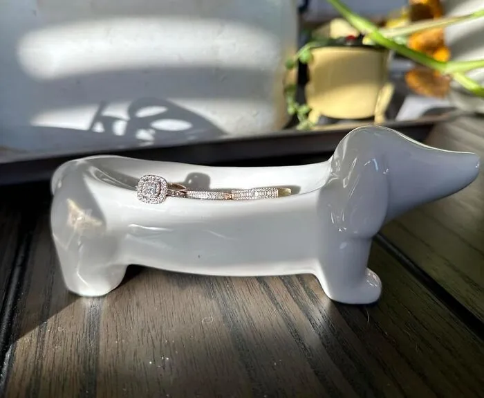 Paws-Itively Perfect For Storing Your Tiny Treasures, This <a Style="Display:inline;" Href="Https://Www.amazon.com/Yobro-Dachshund-Engagement-Decorative-Organizing/Dp/B0cxx6w1s5?&linkcode=ll1&tag=bpostrich-20&linkid=49249256ed1a787a0c208ab98c13a33b&language=en_us&ref_=as_li_ss_tl" Target="_blank"><span Style="Font: Inherit; Color: #d74b1f;"> Dachshund Ceramic Trinket Tray</Span> Is The Pick Of The Litter