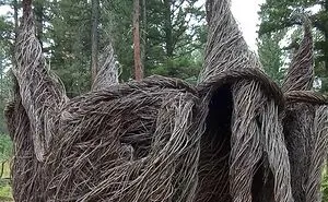 Reality Is Stranger Than Fiction: 50 Of The Most Unreal Photos