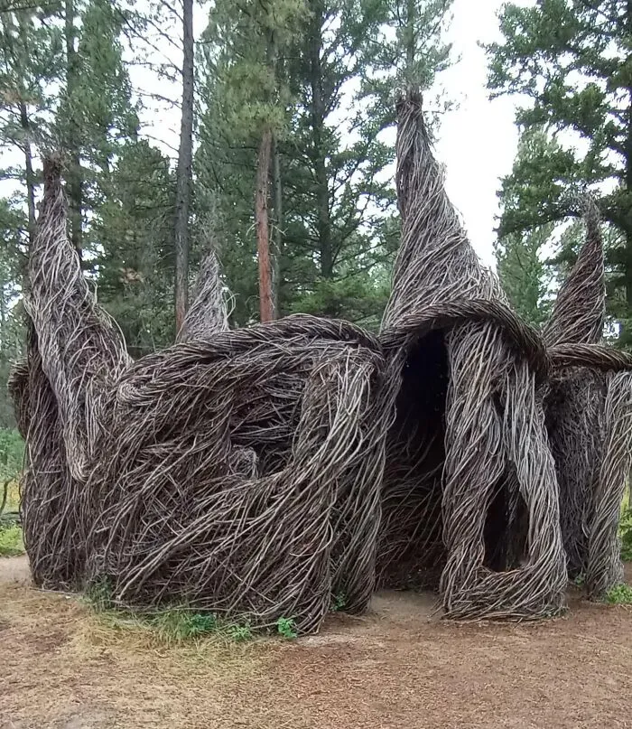 Casa hecha con ramas de árbol
