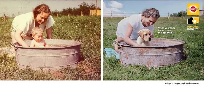 Paw-Sitive Impact: 29 Iconic Dog Ads That Stole Hearts Globally