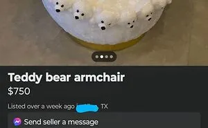 30 Times People Decided To Sell Something Incredibly Unhinged On FB Marketplace
