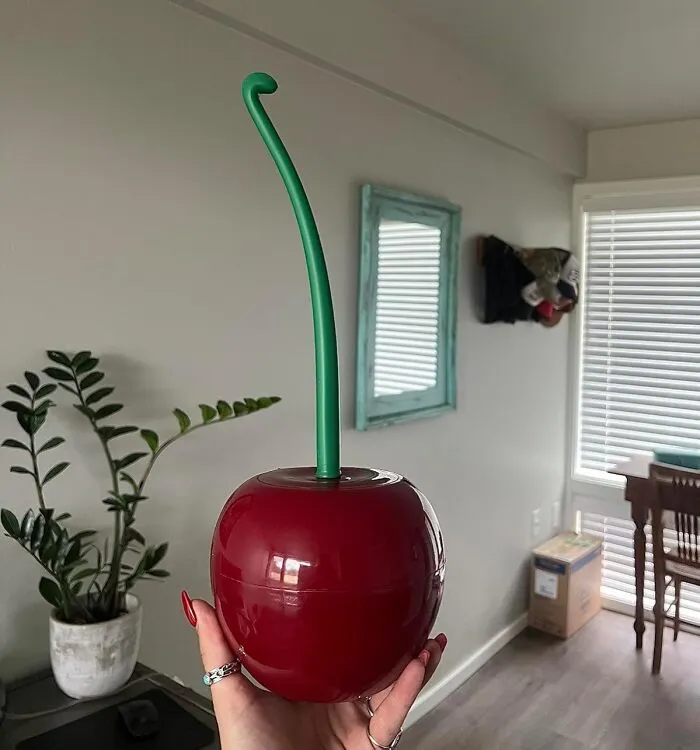 Add A Pop Of Fruity Fun To Your Bathroom Routine With The Ridiculously Charming  <a Style="Display:inline;" Href="Https://Www.amazon.com/Household-Organization-Clean-Rust-Resistant-Leakproof-Red/Dp/B07s3dfq5w?ie=utf8&th=1&linkcode=ll1&tag=bpkoala-20&linkid=fb4922fcbfc8bdb89ebc24ce8cd6cb3c&language=en_us&ref_=as_li_ss_tl" Target="_blank"><span Style="Font: Inherit; Color: #d74b1f;"> Cherry Toilet Brush And Holder </Span> – Because Even Toilet Cleaning Deserves A Splash Of Whimsy (And A Reminder Not To Eat The Decorations)