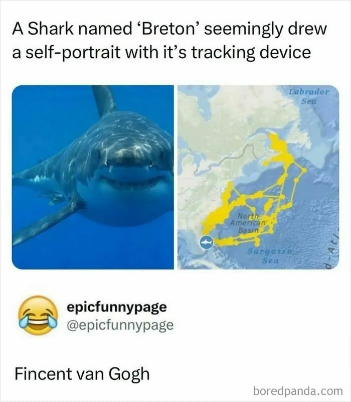 From Chaos To Chuckles, Here Are 50 Random Memes About All Things Life