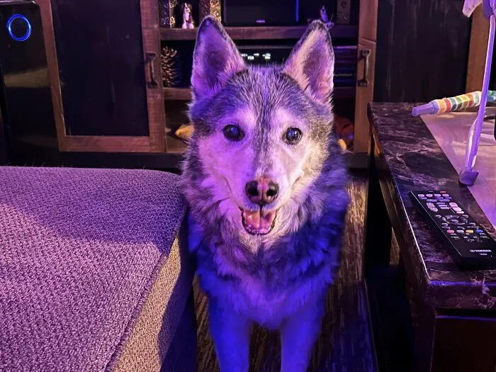 This Is My Boy Carl, Loving Life At 15