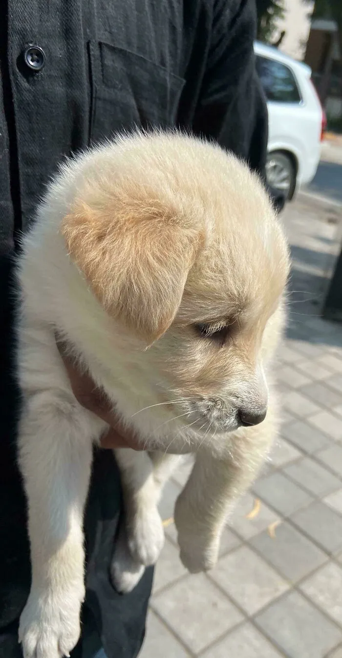 Got Myself A New Friend