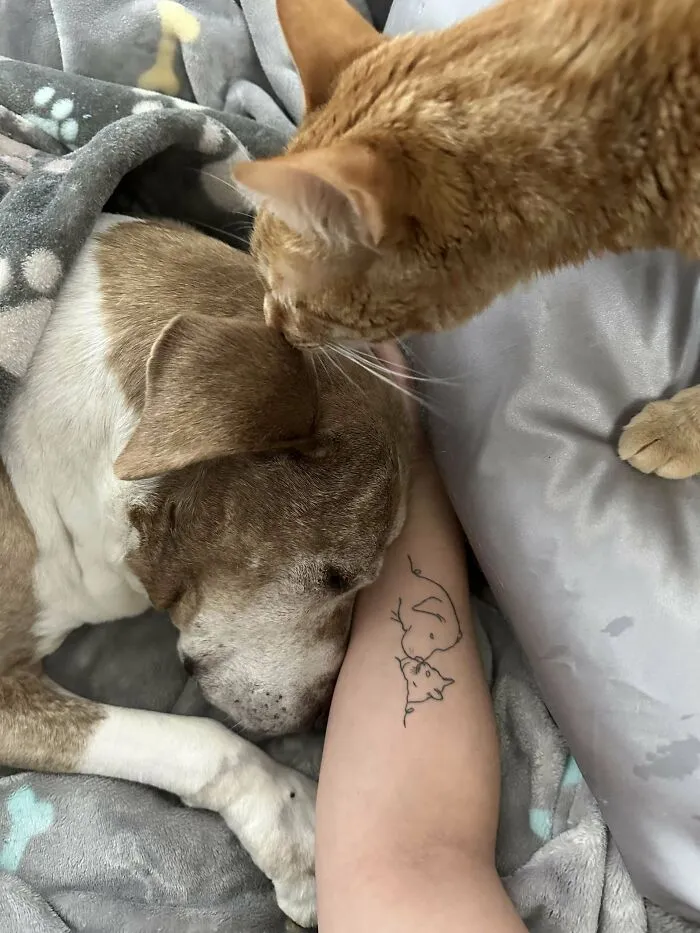 Waddles & Emilio