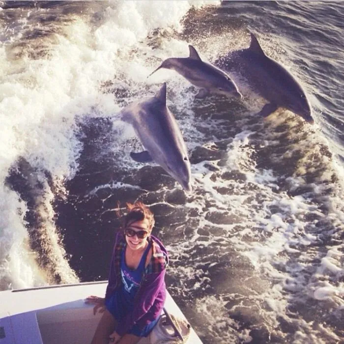 Estaba en un barco con mi familia en Florida y me senté en el borde del barco para hacerme una foto con el agua, y dos delfines y su bebé saltaron fuera del agua.