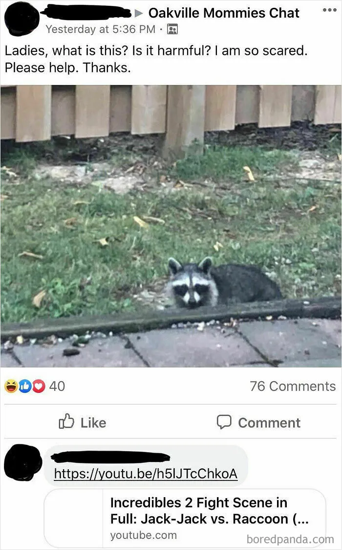 My Mom Sends Me The Best Posts From Our Town’s Mom Group And Lots Of Them Are From Moms Who Are New To Canada And I’ve Been Thinking About This For Months