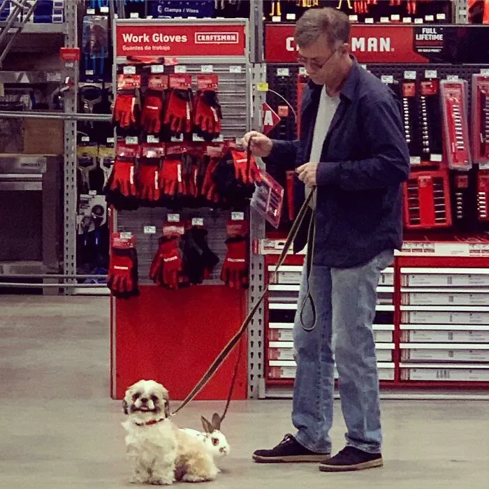 Vi a este tipo paseando a su perrito y su conejito en la tienda. Dijo que era el conejo de su perro, que su perro se enamoró de él en un mercadillo y se lo tuvo que comprar.