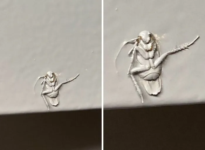Landlords- Please Don’t Paint Over Cockroaches