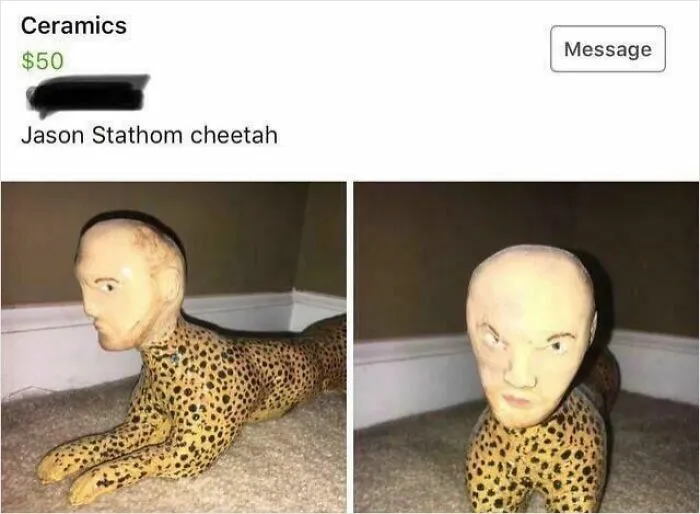 Jason Stathom Cheetah