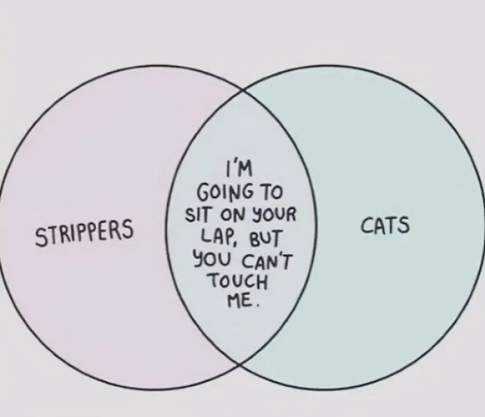 Venn Diagram Of Strippers/Cats