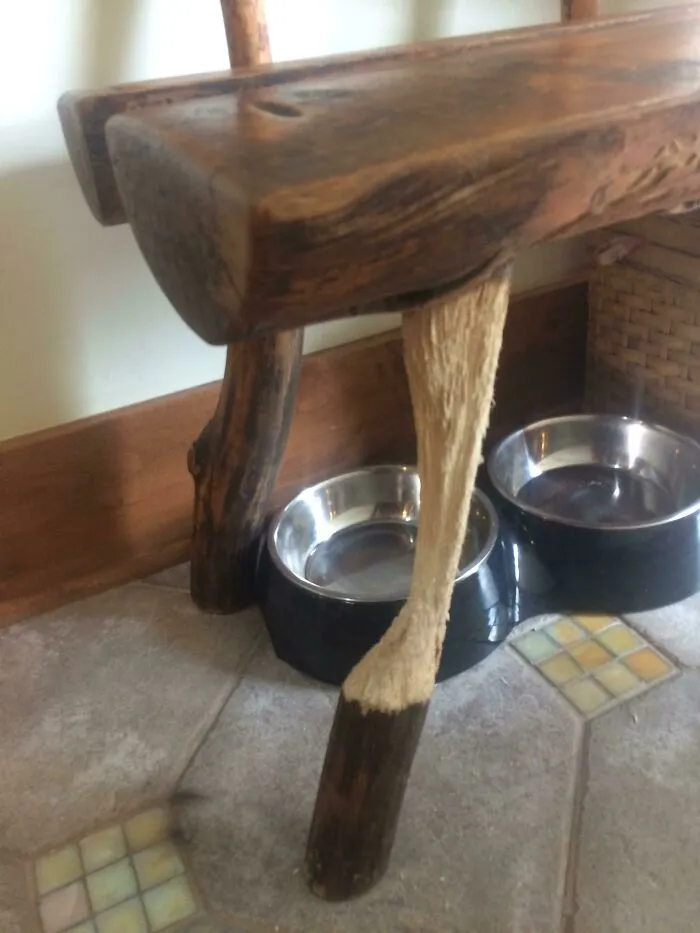 My Dad's Cat Has Been Scratching The Same Leg Of This Bench For The Past Decade