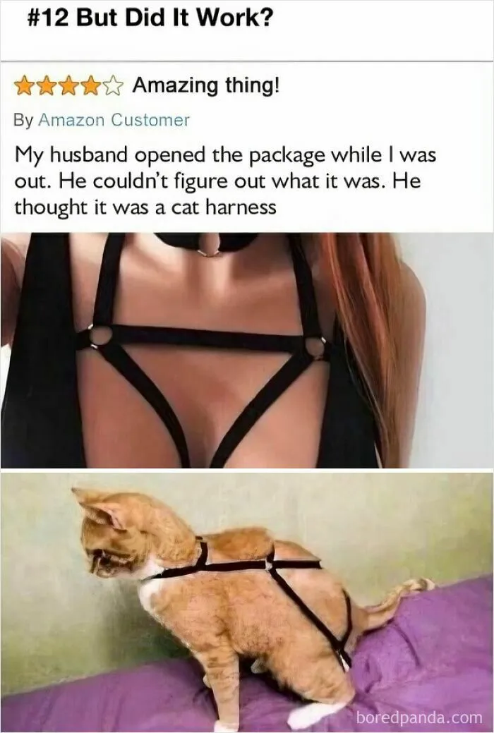 This Is A Real Customer Review Lol