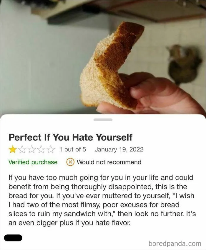 Perfect If You Hate Yourself