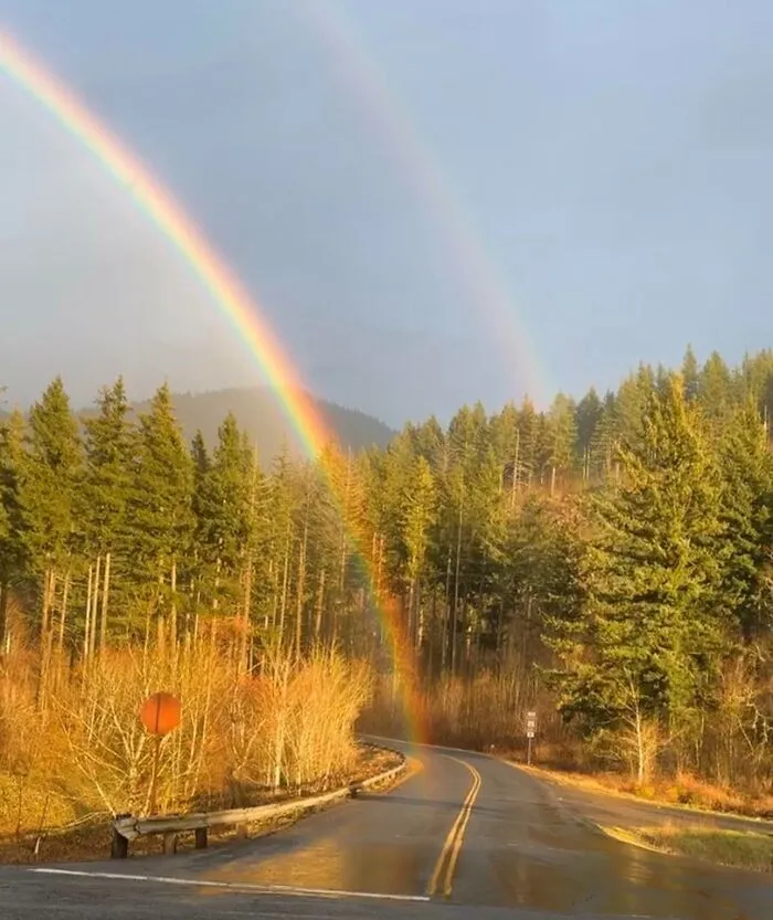 Arcoíris doble sobre un camino en el bosque, capturado al atardecer por personas.