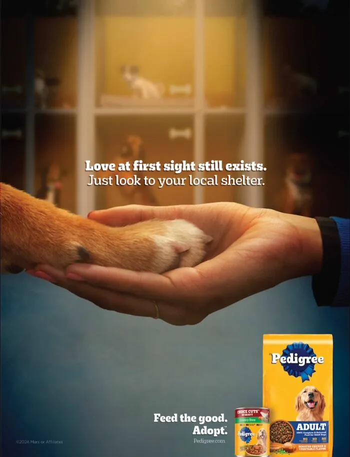 Paw-Sitive Impact: 29 Iconic Dog Ads That Stole Hearts Globally