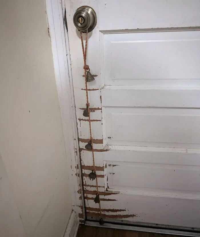 A door with a rope of bells and visible wear, showing the effects of time and use on the paint.